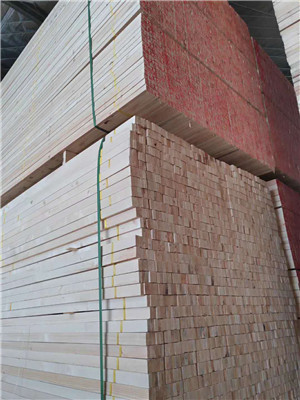 陜西木龍骨與太倉(cāng)海西實(shí)業(yè)的機(jī)械設(shè)備銷(xiāo)售合作探析