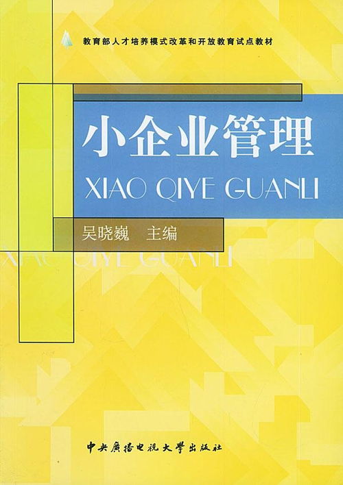 小企業(yè)管理基礎(chǔ) 從入門到精通的實(shí)戰(zhàn)指南